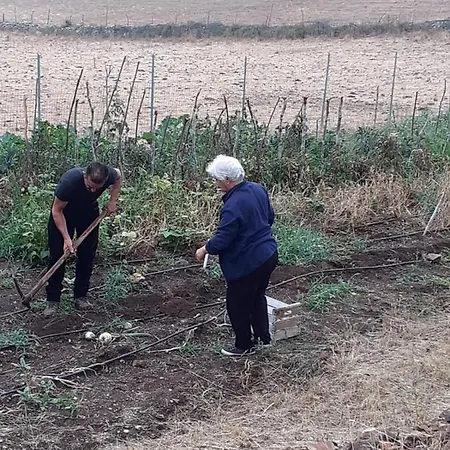 Alloggio per agriturismo S'armidda Seùlo