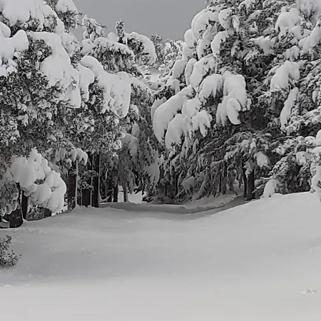 S'armidda Feriegård Seùlo