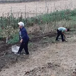 S'armidda * Seùlo