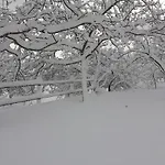 S'armidda