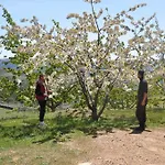 S'armidda
