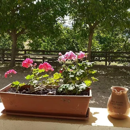 Farm stay S'armidda *