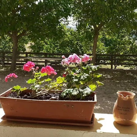 Alojamento de Turismo Rural S'armidda *